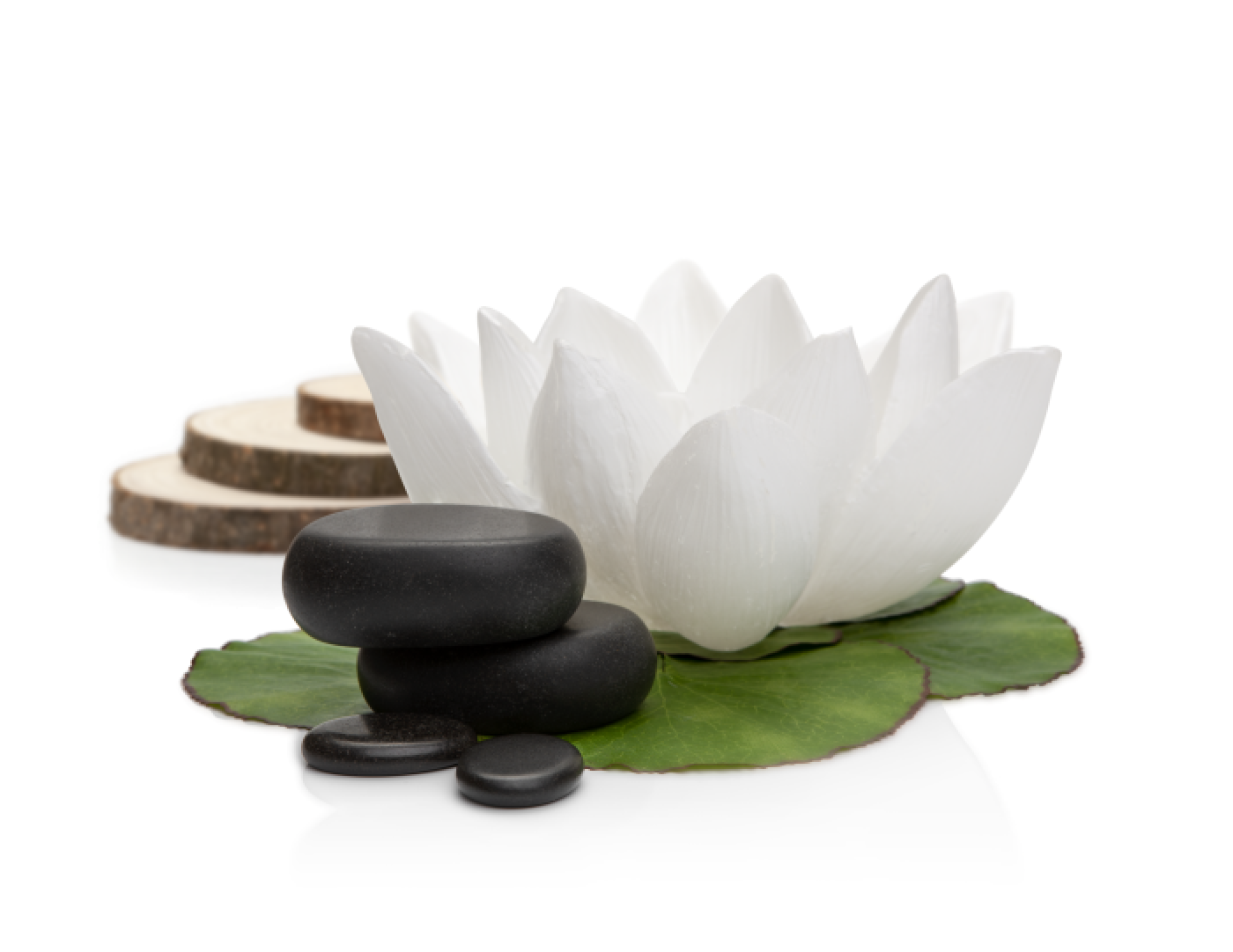 <p>Masaje geotermal indicado para una relajación total de mente y cuerpo mediante la utilización de suaves piedras volcánicas calientes y aromáticos aceites esenciales. Ritual milenario que nos aporta multitud de beneficiosos físicos y sensoriales.</p>
<p><br />Kit de 4 suaves piedras volcánicas & usb con video largo.</p>